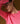 Cashmere Pullover mit Rundhals